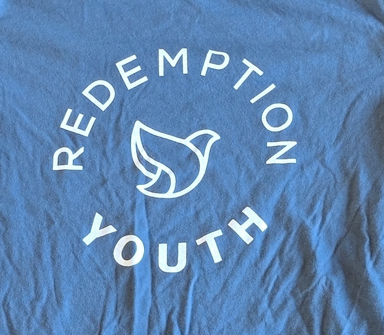 Blue shirt with a gold mountain screen print